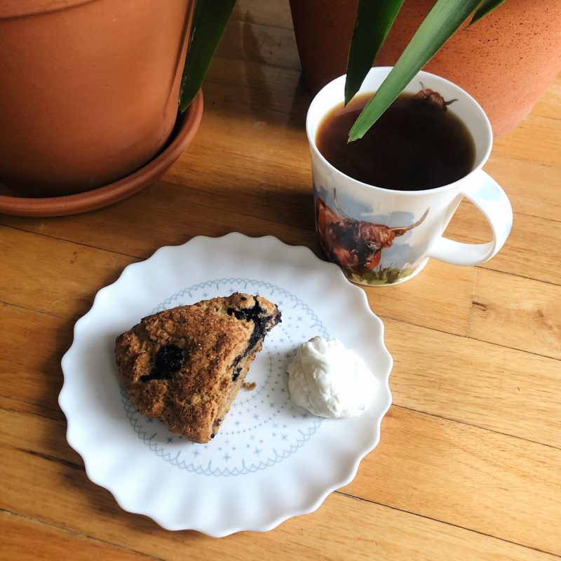 blueberry scones favorite recipes this week plant-based